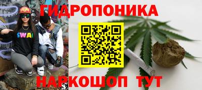 трава Нальчик